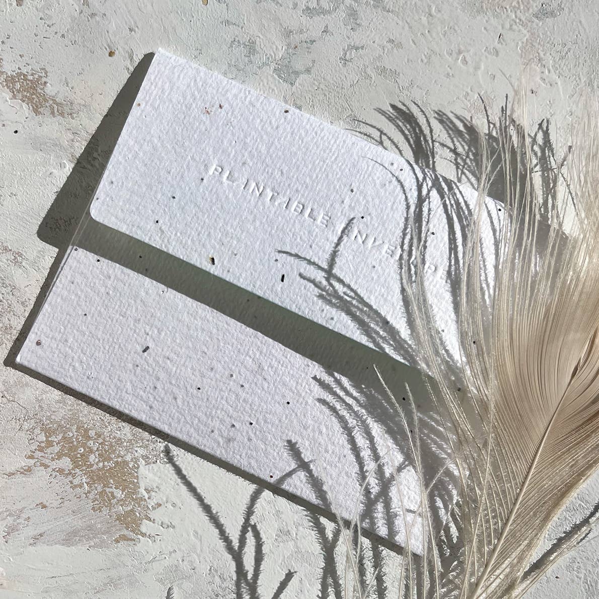 Spill the Tea - Love + Friendship Card