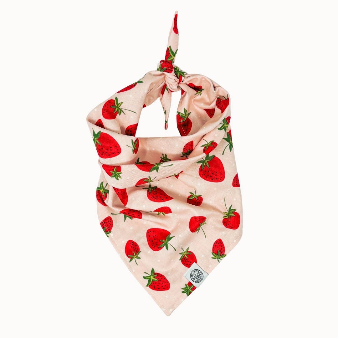 Pink Dog Bandana with Strawberries by Camp Hound / XL