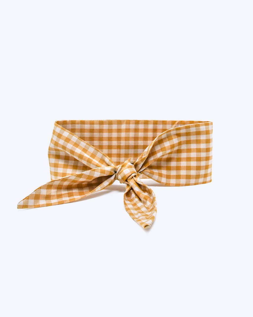 Beach Day Gingham Necktie for Pets by Modern Beast / Large