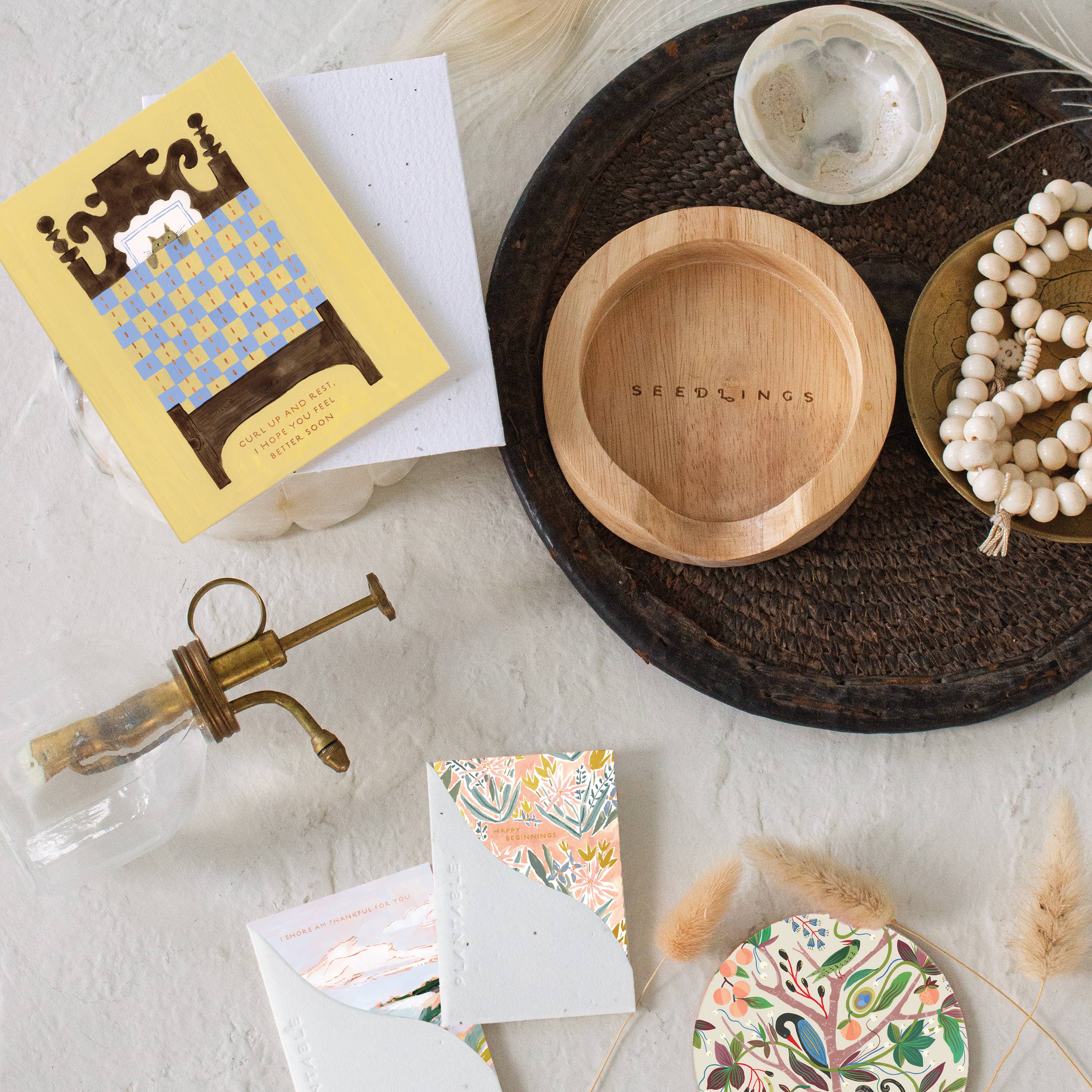 Seedlings - Cat Nap - Get Well Card