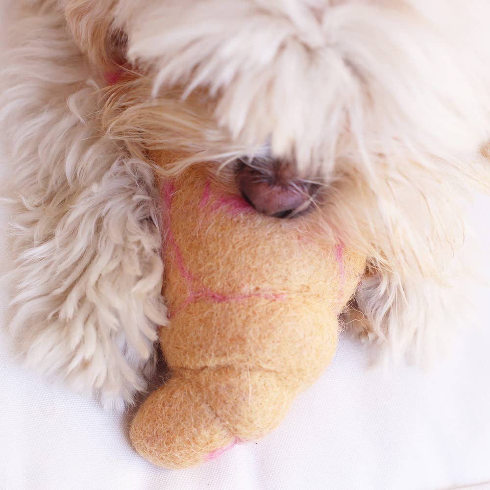 Croissant Dog Toy by Modern Beast