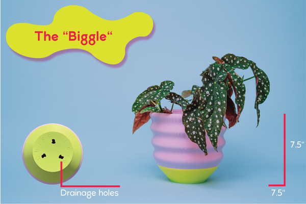 7" Big Wiggle Planter: Lime + Pink