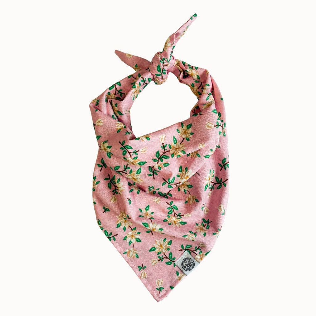 Spring Floral Magnolia Dog Bandana by Camp Hound / XL