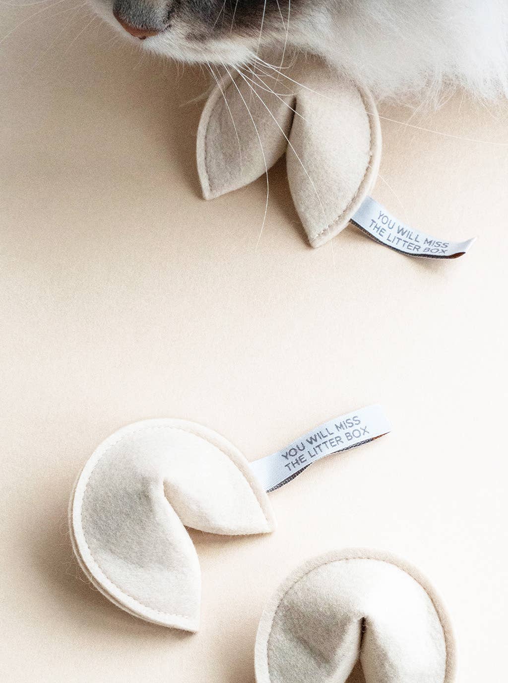 Fortune Cookie Cat Toy by Modern Beast: You Will Catch the Mouse