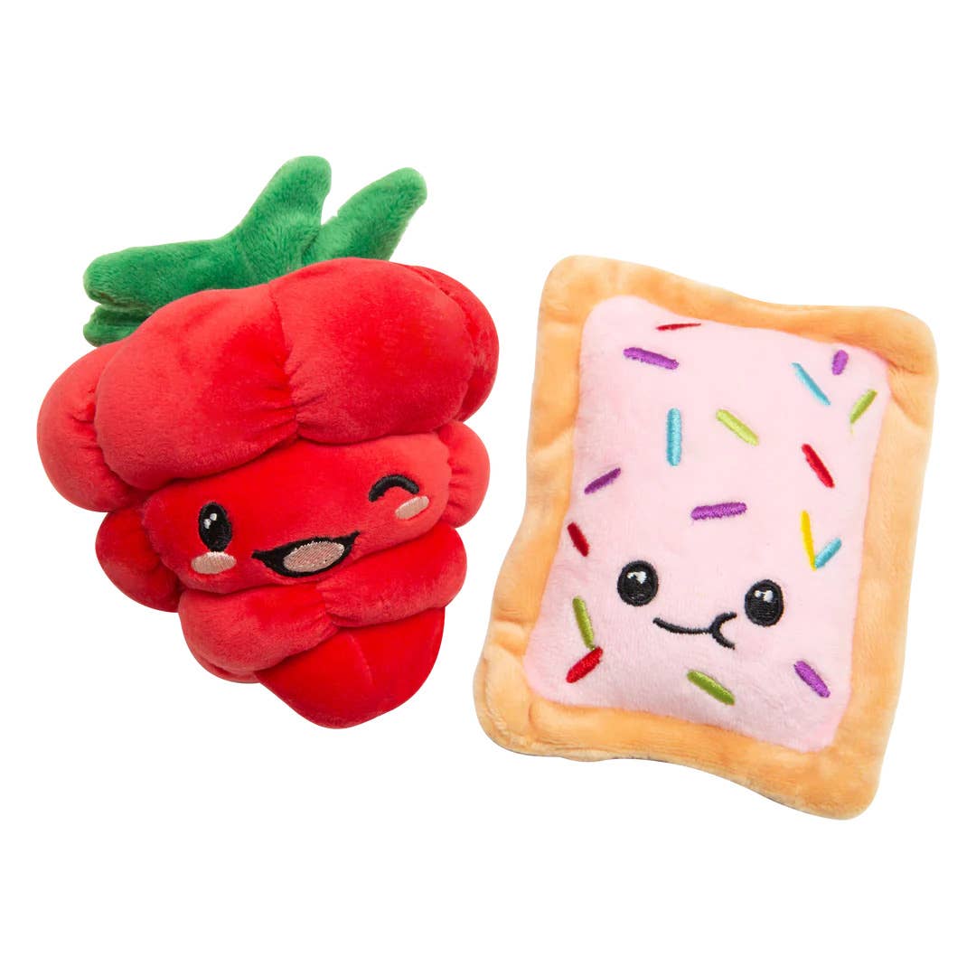 Poptart and Raspberry Plush Dog Toy Made from Recycled Water Bottles