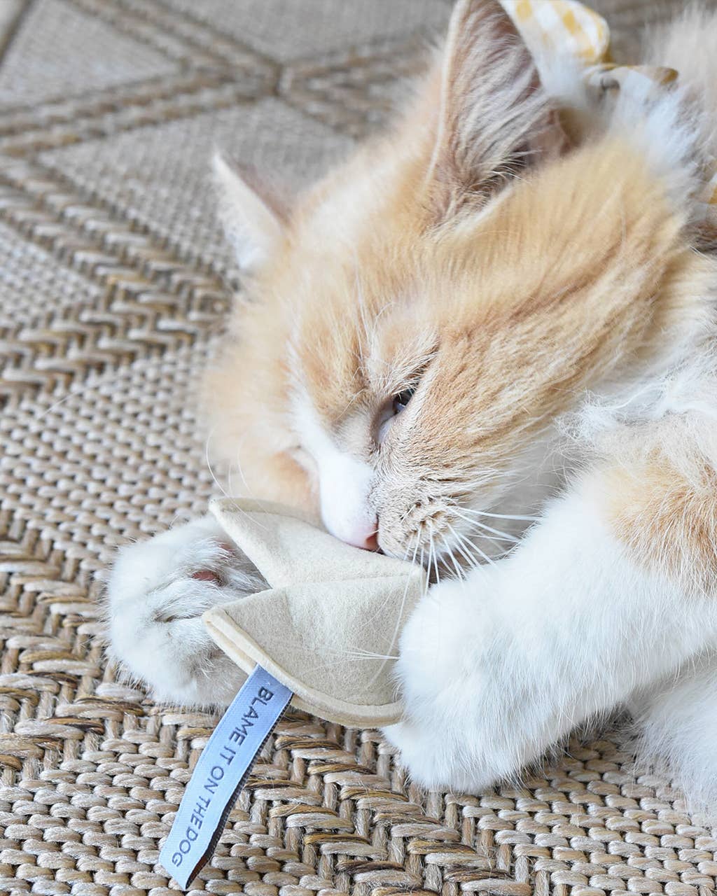 Fortune Cookie Cat Toy by Modern Beast: You Will Catch the Mouse