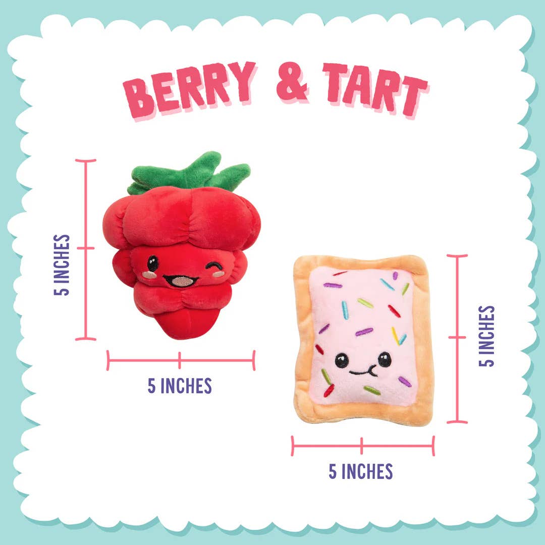 Poptart and Raspberry Plush Dog Toy Made from Recycled Water Bottles