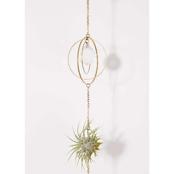 Crystal Hanging Air Plant Holder