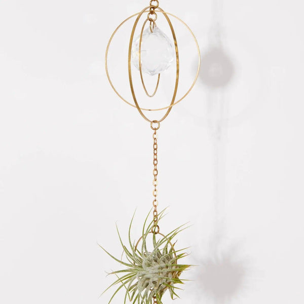 Crystal Hanging Air Plant Holder