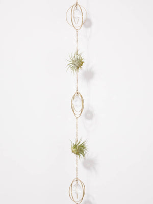 Crystal Hanging Air Plant Holder - Ruby's Old & New