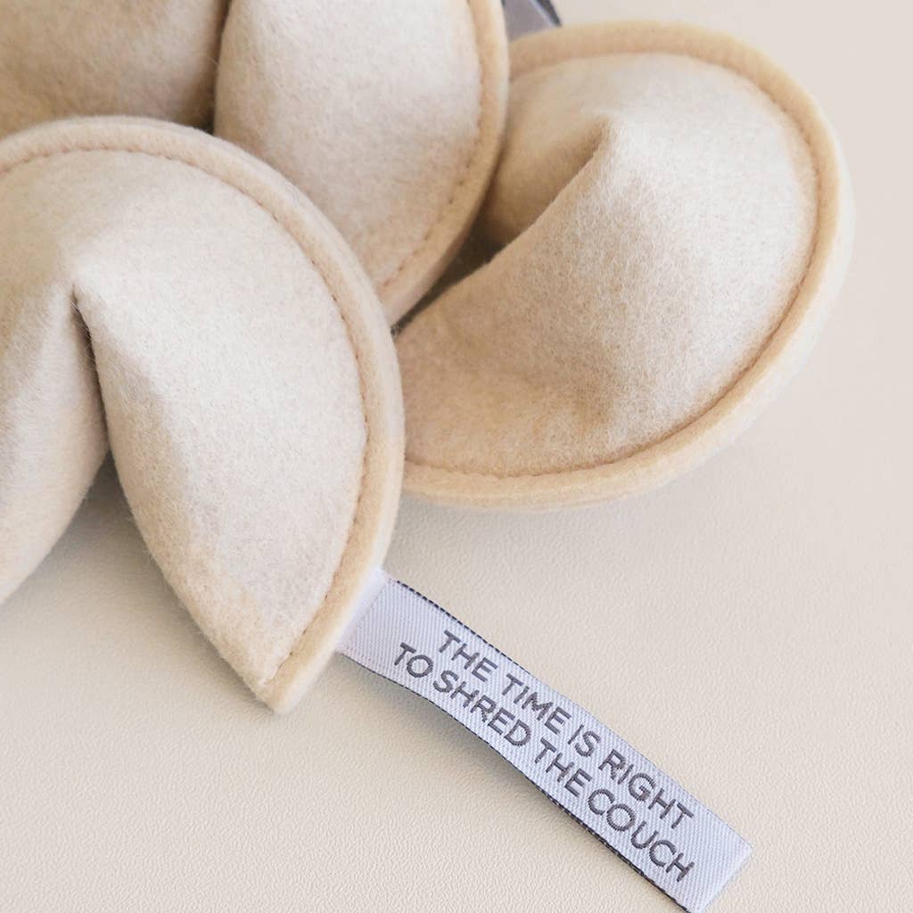 Fortune Cookie Cat Toy by Modern Beast: You Will Catch the Mouse