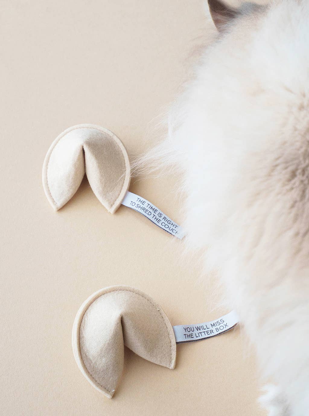 Fortune Cookie Cat Toy by Modern Beast: You Will Catch the Mouse