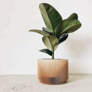 Geometric Wood Indoor Plant Pot - Minimalist Scandinavian Design.