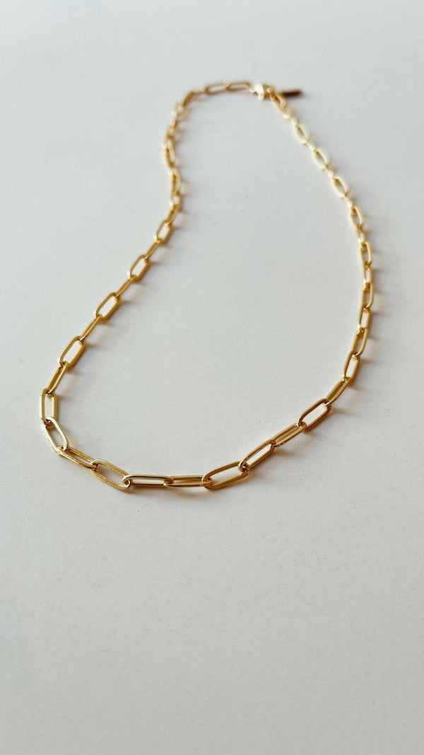 Gold-Filled Petite Chain Necklace.