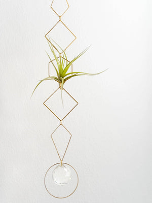 Handmade Brass Wall Air Plant Hanger with Crystal Prism - Ruby's Old & New