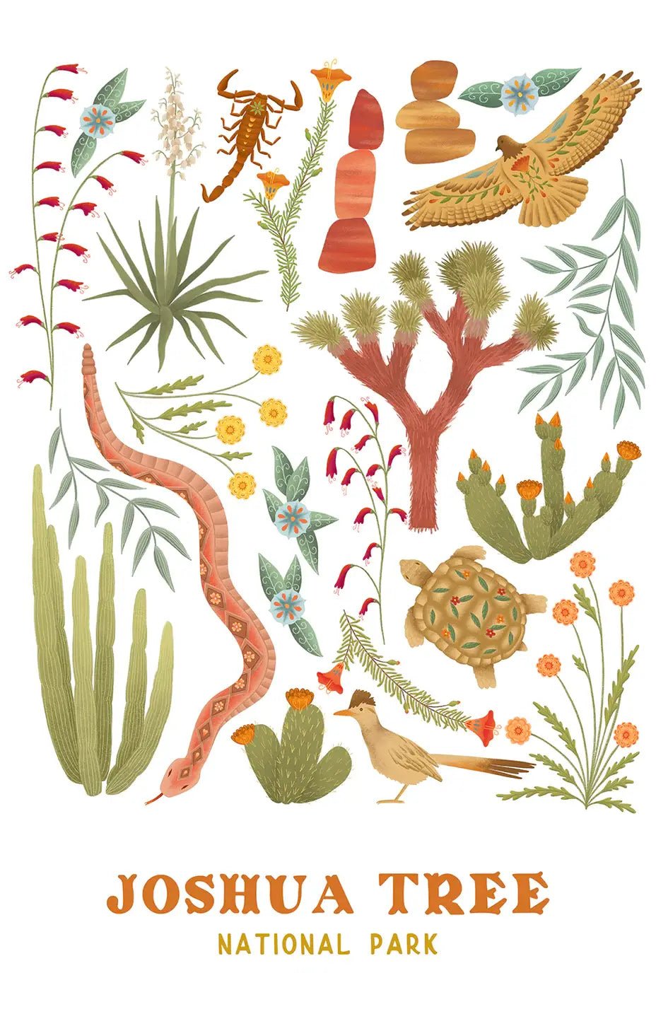 Joshua Tree National Park Flora and Fauna Art Print (8" x 10").