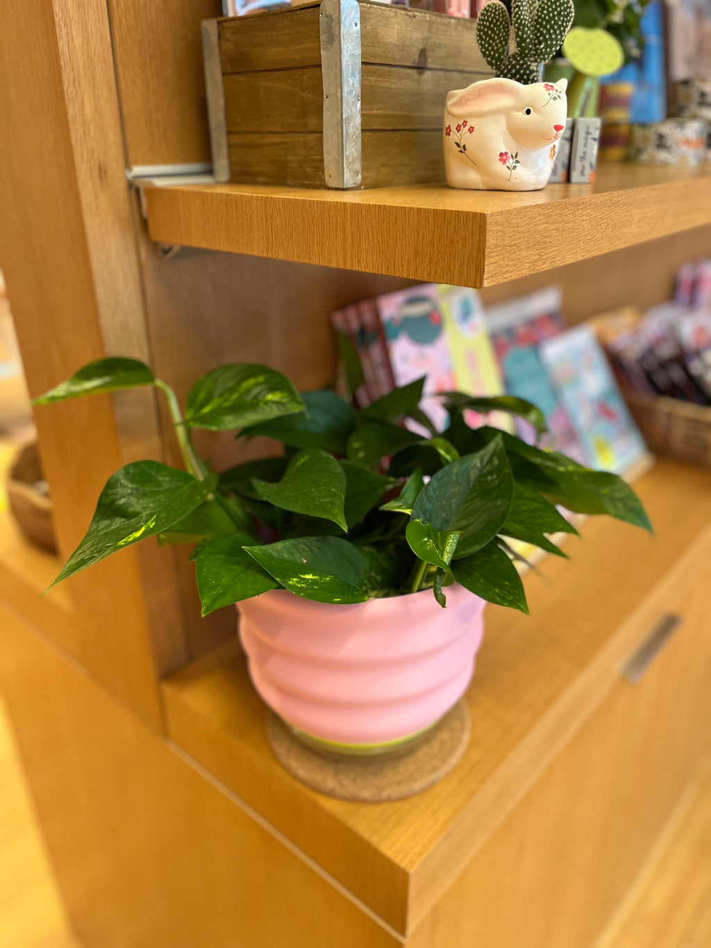 7" Big Wiggle Planter: Lime + Pink