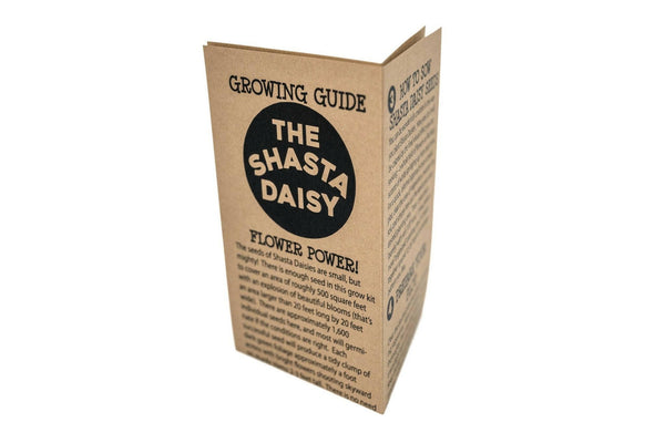 Shasta Daisy | Flower Seed Grow Kit.