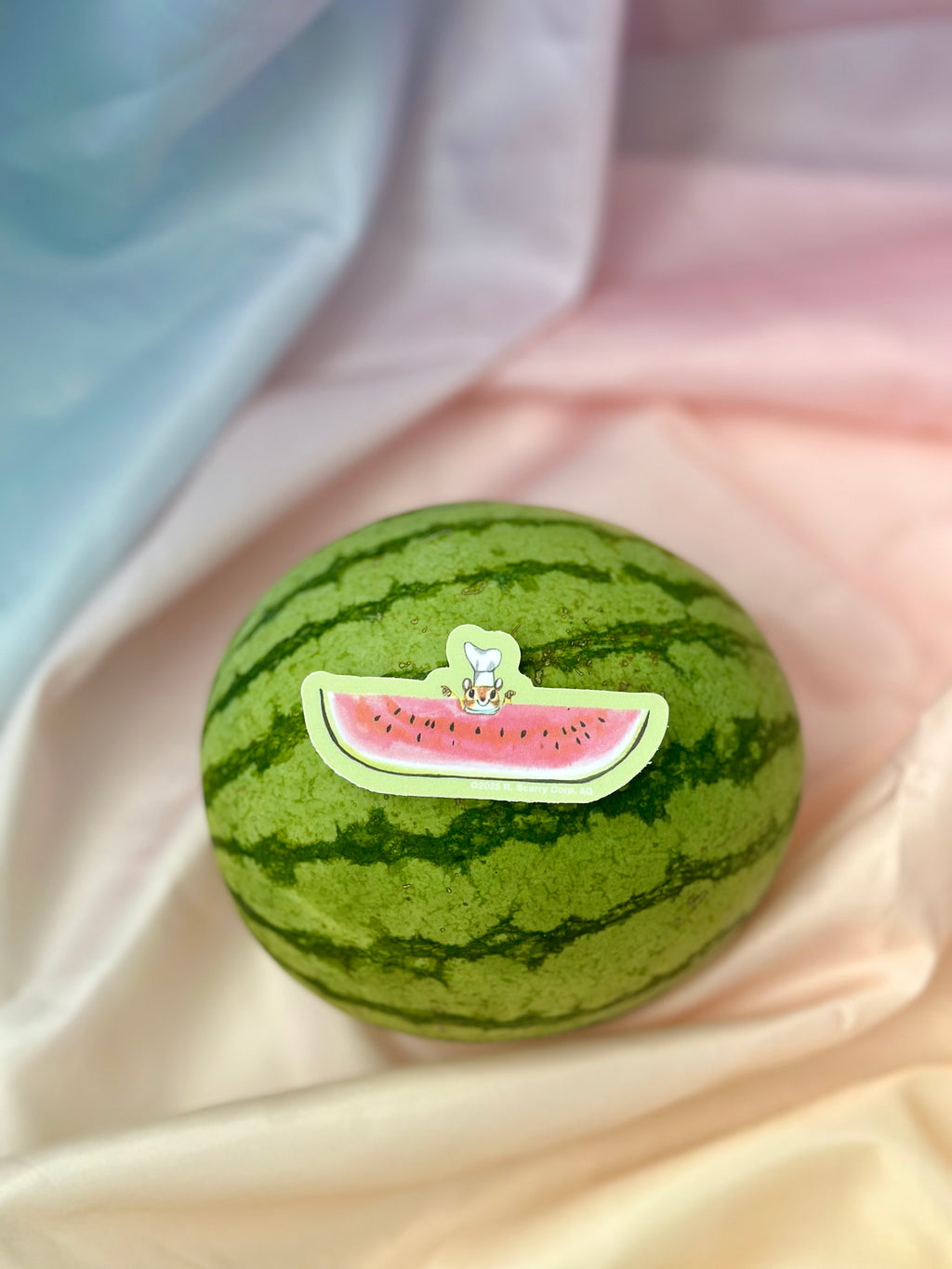 3P4 x Richard Scarry® Watermelon Mouse Sticker