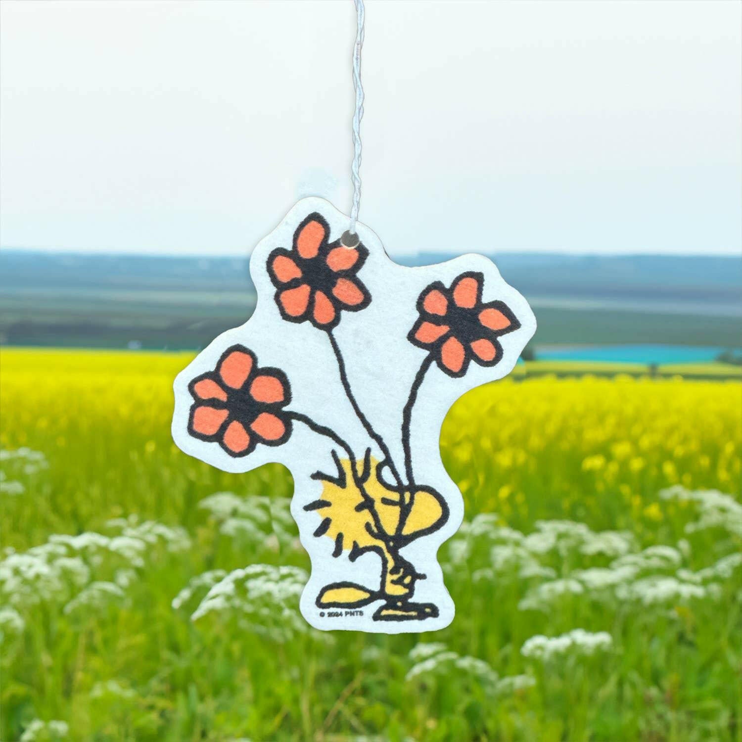 Woodstock Summer Air Freshener.